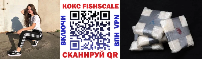 COCAIN Боливия  mega как войти  Торжок  магазин продажи  