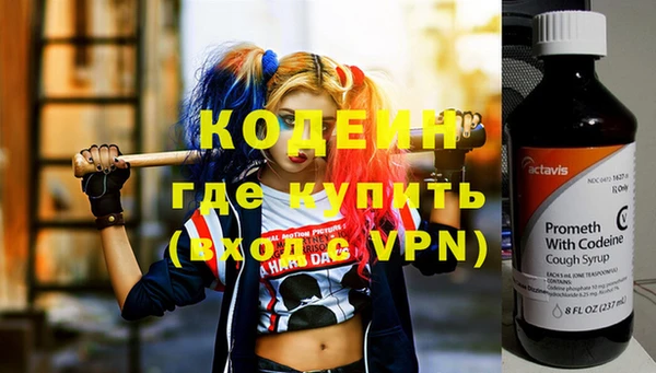 стаф Покачи