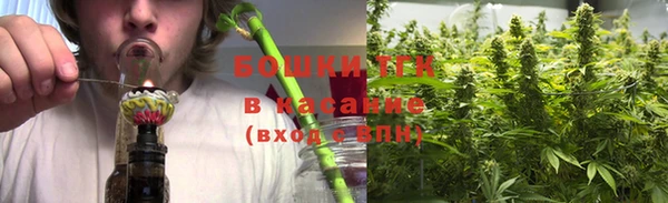 стаф Покачи