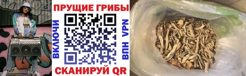 Псилоцибиновые грибы прущие грибы  Торжок 