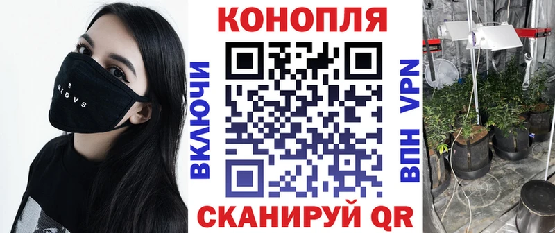 Конопля SATIVA & INDICA Торжок